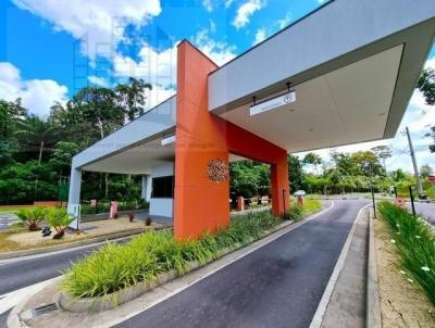 Terreno para Venda, em Manaus, bairro PONTA NEGRA