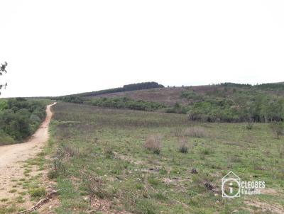 Fazenda para Venda, em Encruzilhada do Sul, bairro Interior