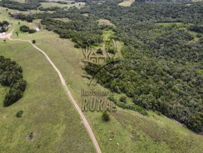 rea Rural para Venda, em Encruzilhada do Sul, bairro ZONA RURAL