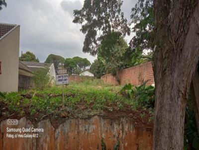 Terreno para Venda, em Mandaguari, bairro Centro