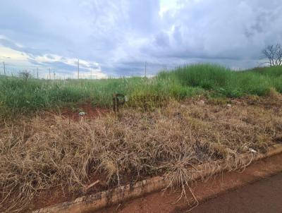 Terreno para Venda, em Jata, bairro Residencial Jardim dos Ips