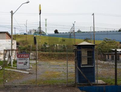 Terreno Comercial para Venda, em Caxias do Sul, bairro Cinqentenrio