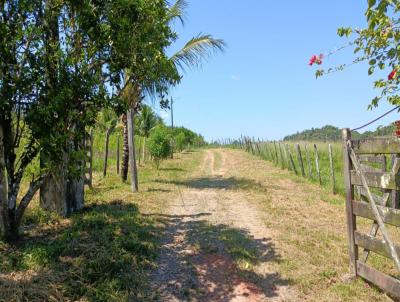 Stio para Locao, em Candeias, bairro rea Rural de Candeias