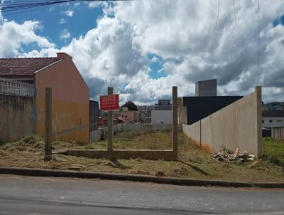 Terreno para Venda, em Curitiba, bairro Atuba