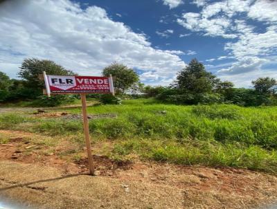 Terreno para Venda, em Jaguariava, bairro PRIMAVERA