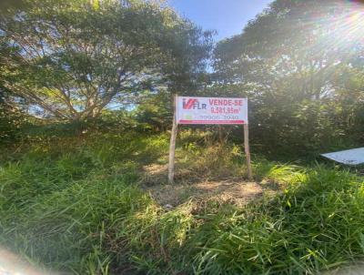 Terreno para Venda, em Jaguariava, bairro JARDIM EDITH