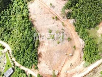 Stio para Venda, em Apina, bairro Bracinho