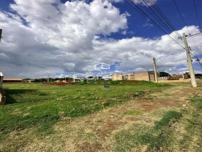 Terreno para Venda, em Santa Rosa, bairro Bairro Cruzeiro