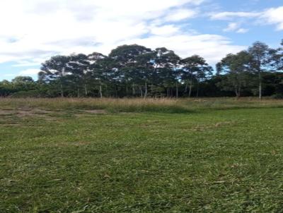 Stio / Chcara para Venda, em Gravata, bairro Costa Ipiranga, 2 dormitrios, 1 banheiro, 2 vagas