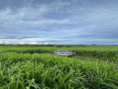 Fazenda para Venda, em Miracema do Tocantins, bairro 