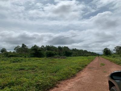 Fazenda para Venda, em Miracema do Tocantins, bairro , 5 dormitrios