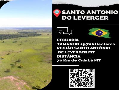 Fazenda para Venda, em Santo Antnio do Leverger, bairro Rural