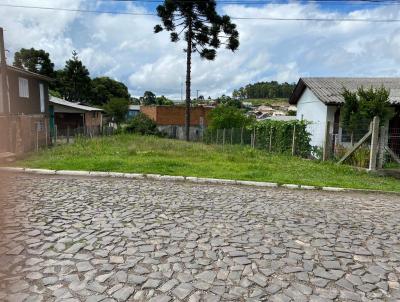 Terreno para Venda, em So Francisco de Paula, bairro Rinco