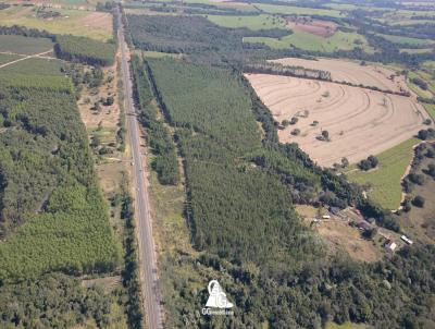 Stio para Venda, em Altinpolis, bairro Zona Rural