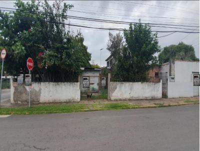 Terreno para Venda, em Cachoeirinha, bairro Vila Cachoeirinha