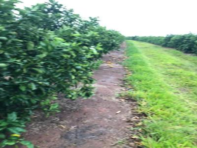 Stio para Venda, em guas de Santa Brbara, bairro Rural