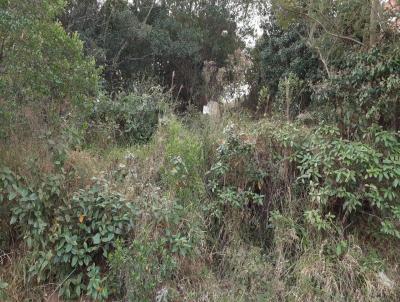 Terreno para Venda, em Trememb, bairro jd Maracaibo