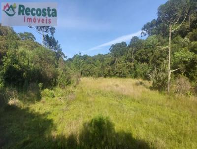 Chcara para Venda, em So Francisco de Paula, bairro CONTENDAS