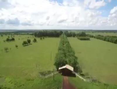 Fazenda para Venda, em Dois Irmos do Buriti, bairro 