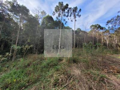 Terreno para Venda, em Campo Alegre, bairro Bateias de Baixo