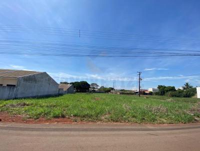 Lote para Venda, em Campo Mouro, bairro Jardim Albuquerque