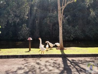 Lote em Condomnio Fechado para Venda, em Santana de Parnaba, bairro Villa Velha