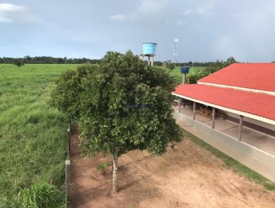 Fazenda para Venda, em Presidente Mdici, bairro Rural