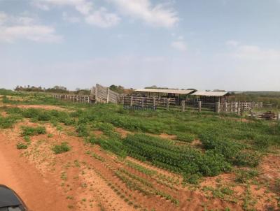 Fazenda para Venda, em Jaraguari, bairro Rural