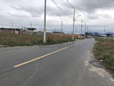 Terreno para Venda, em Pindamonhangaba, bairro Residencial Vale das Accias