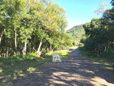 Terreno para Venda, em Morro Reuter, bairro Belvedere