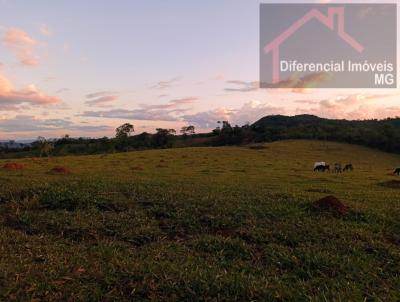 Terreno Comercial para Venda, em Esmeraldas, bairro Serra Verde