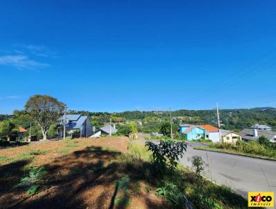 Terreno para Venda, em Nova Petrpolis, bairro Logradouro