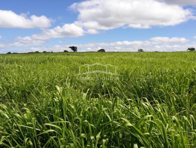 Fazenda para Venda, em So Joo da Ponte, bairro ZONA RURAL