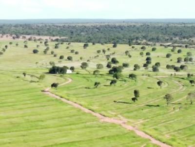 Fazenda para Venda, em Urucuia, bairro 