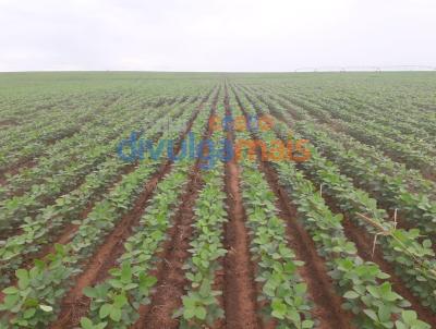 Fazenda para Venda, em Alvorada do Norte, bairro Zona rural