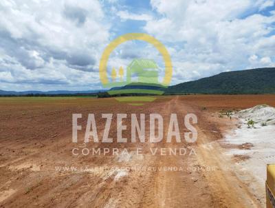 Fazenda para Venda, em Ftima, bairro Zona Rural