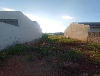 Terreno para Venda, em Marialva, bairro 