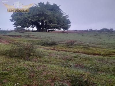 Terreno para Venda, em Santana do Livramento, bairro Vila real