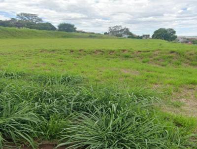 Terreno Urbano para Venda, em Londrina, bairro Jardim Itamarati