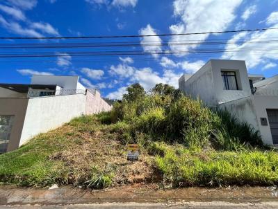 Lote para Venda, em Montes Claros, bairro Ibituruna