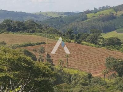 Fazenda para Venda, em So Sebastio da Grama, bairro Permetro Rural