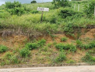 Terreno para Venda, em Cataguases, bairro Floresta