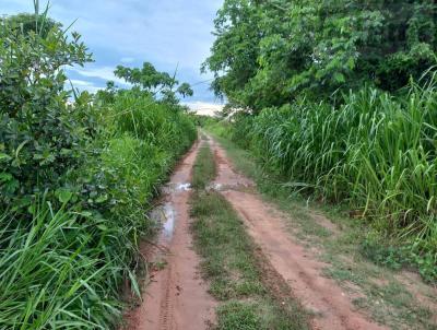 Fazenda para Venda, em Rondonpolis, bairro Zona Rural