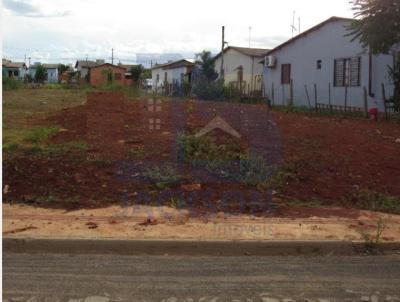 Terreno para Venda, em São Borja, bairro Maria do Carmo