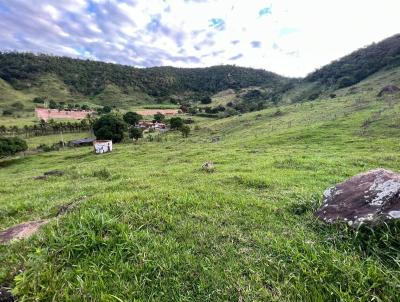 Stio / Chcara para Venda, em Tefilo Otoni, bairro Zona Rural