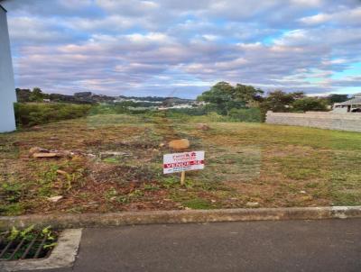 Terreno para Venda, em Concrdia, bairro Loteamento Vivan