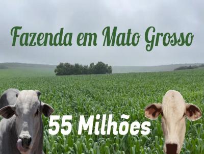 Fazenda para Venda, em Diamantino, bairro Zona Rural, 4 dormitrios, 4 banheiros, 2 sutes, 10 vagas