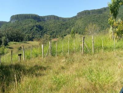 Stio / Chcara para Venda, em Gravata, bairro Morungava