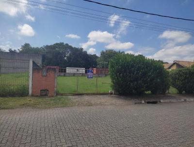 Terreno para Venda, em Porto Real, bairro Nova Colnia