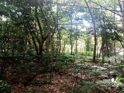 Terreno para Venda, em Ribeiro Pires, bairro Ouro Fino